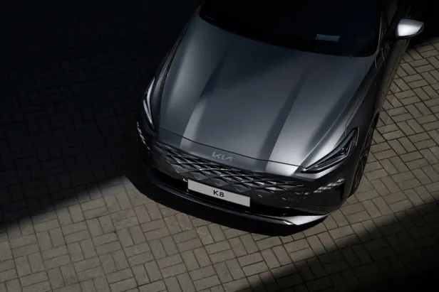 كازينو كواليتي بينغو تطبيق أندرويد/آي أو إس